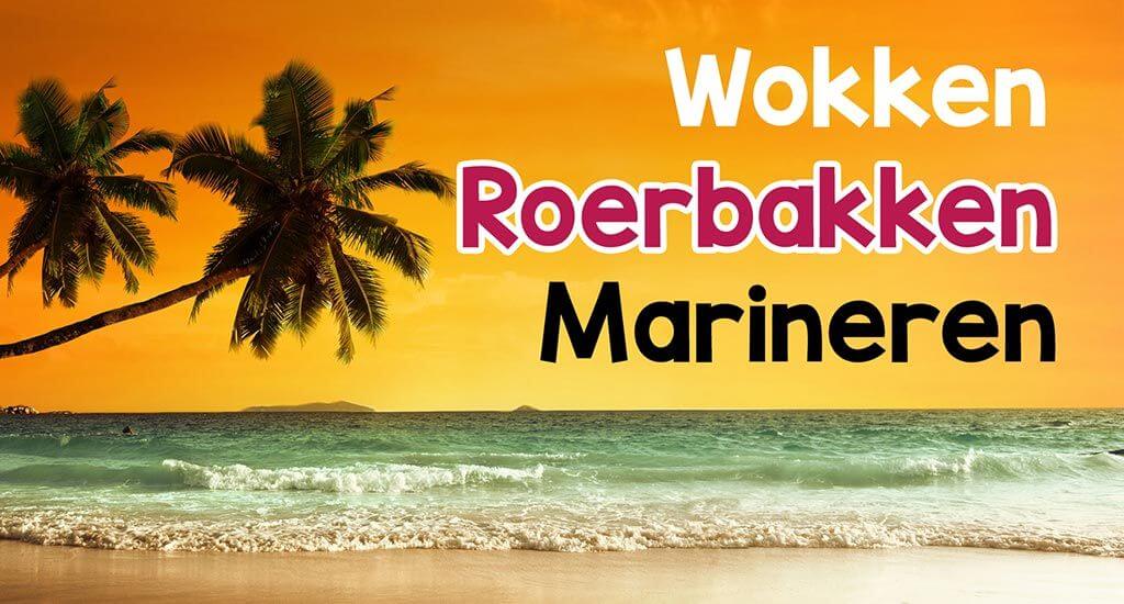 Wokken, Roerbakken of Marineren?